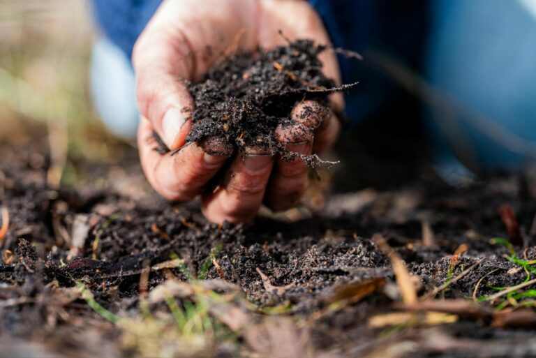 turning a compost pile in a community garden