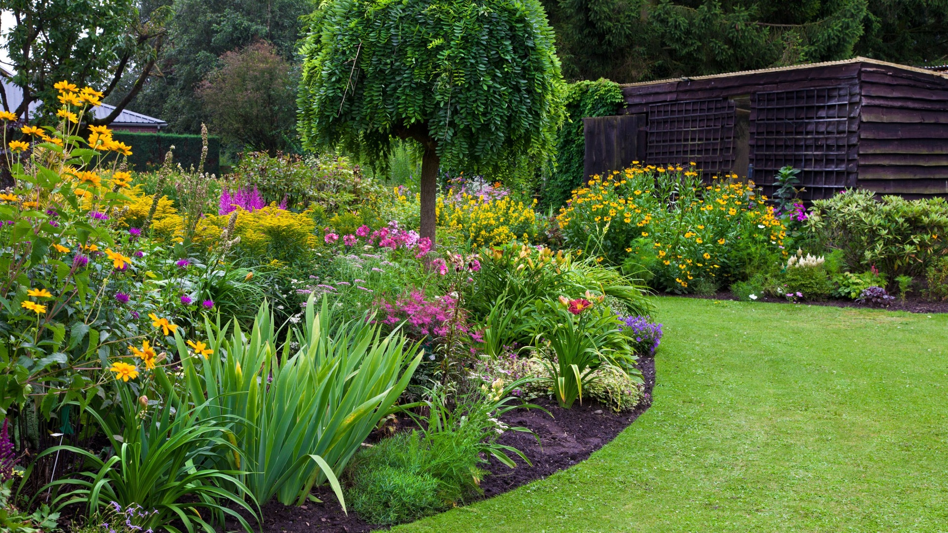 5 Garden Myths You Shouldn’t Believe To Avoid Ruining Your Eye-Catching Landscape 