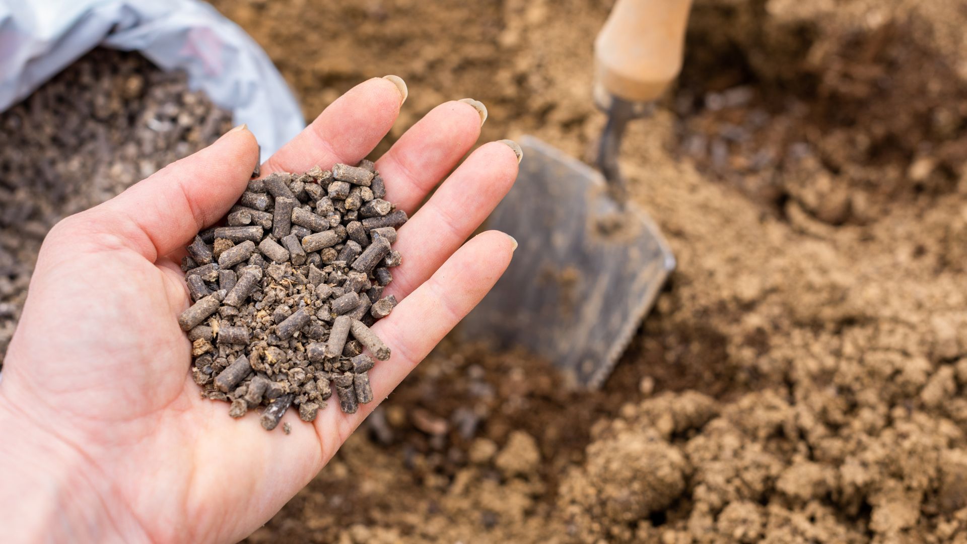 early fall soil amendments