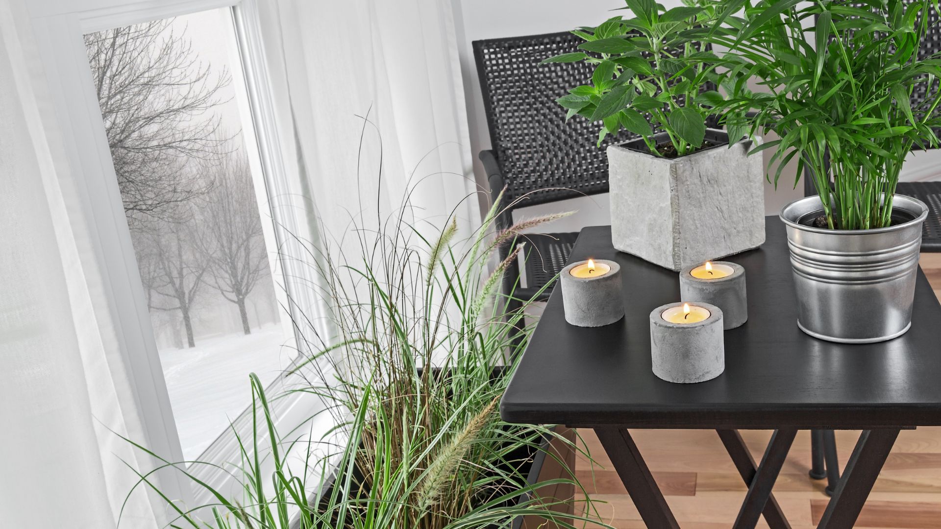 Avoid These 6 Common Mistakes When Bringing Your Plants Indoors For The Winter 