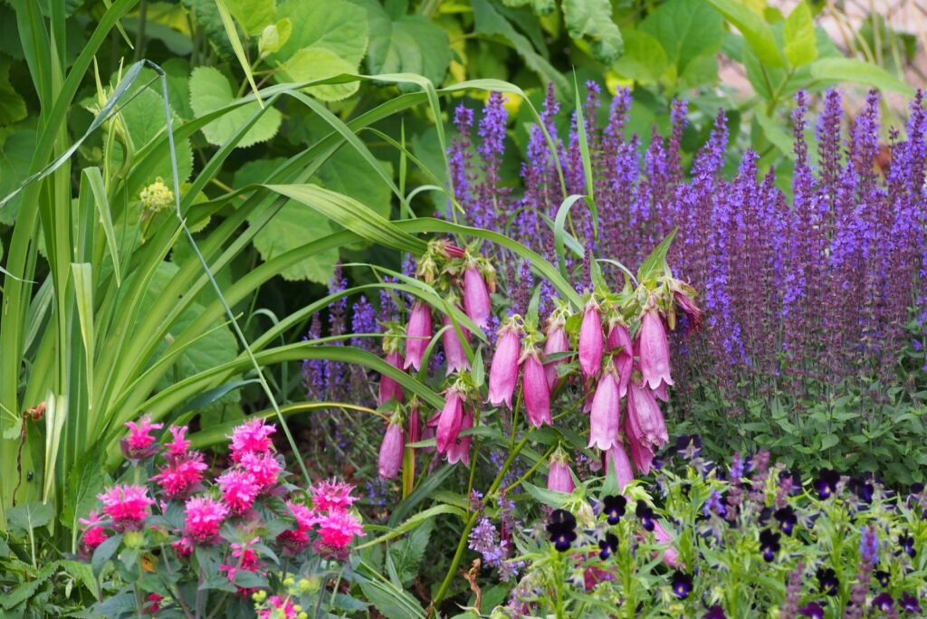 Beautiful garden composition