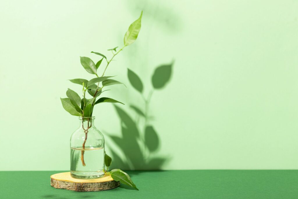 Green branches of a house plant in a glass bottle