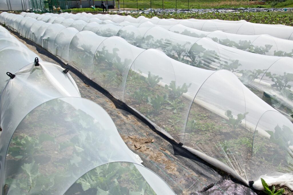 Greenhouse hoops grow tunnel with garden netting shade