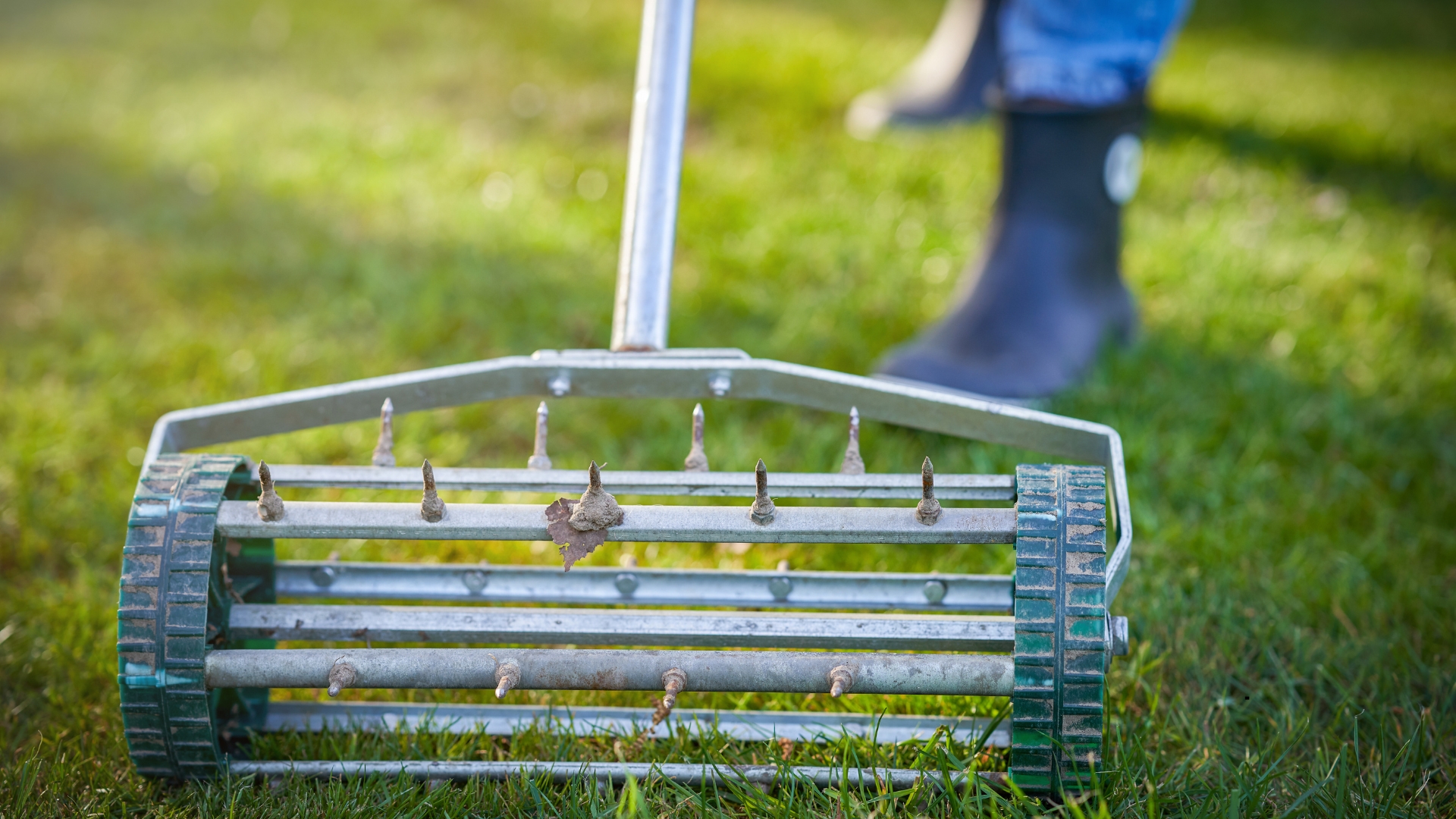 Here’s Exactly When You Should Aerate Your Lawn For The Healthiest, Greenest, And Thickest Grass