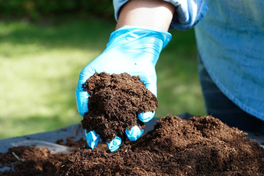 Peat moss fertilizer soil for organic agriculture