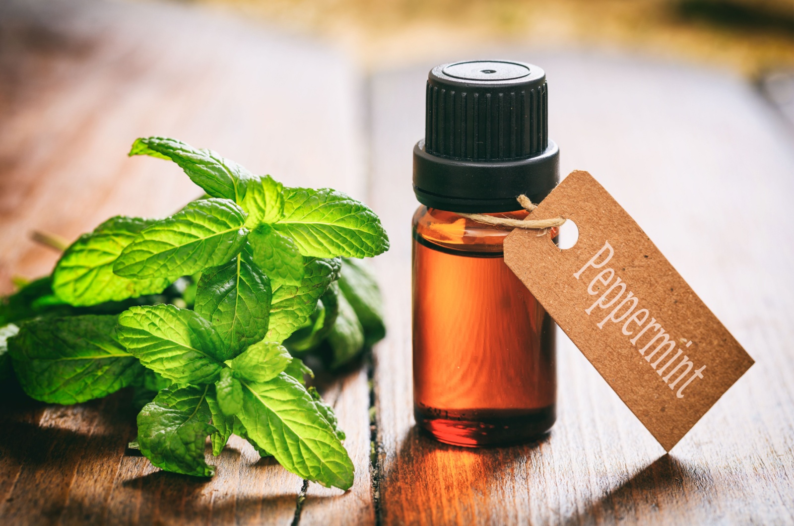 Peppermint essential oil