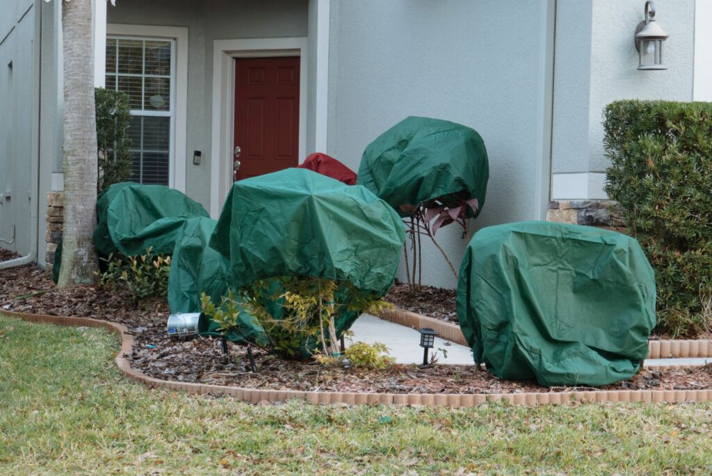 Plant covering to protect from frost and freeze