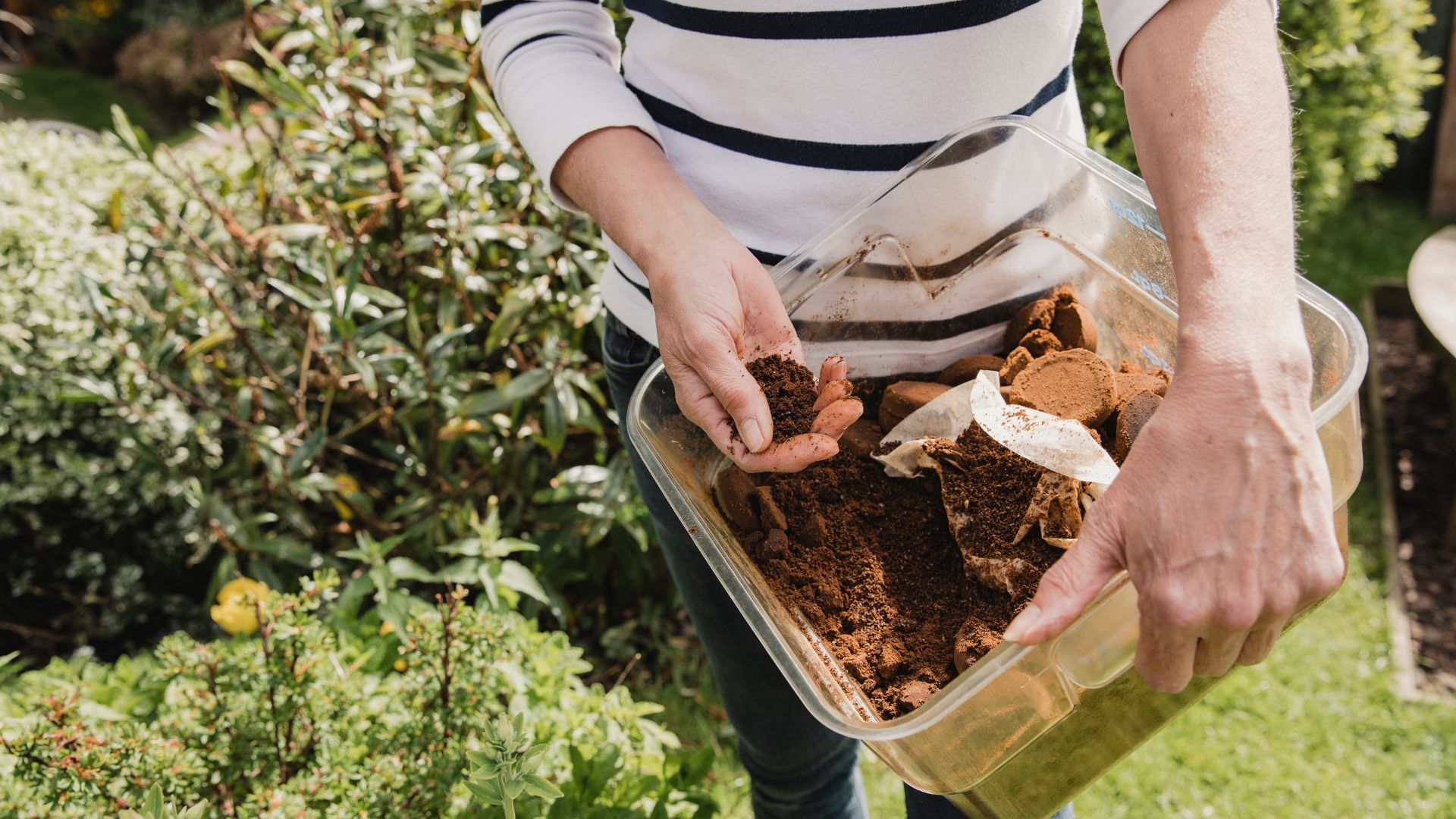 The Coffee Trick That Keeps Pests Away (You Won’t Believe How Easy It Is)