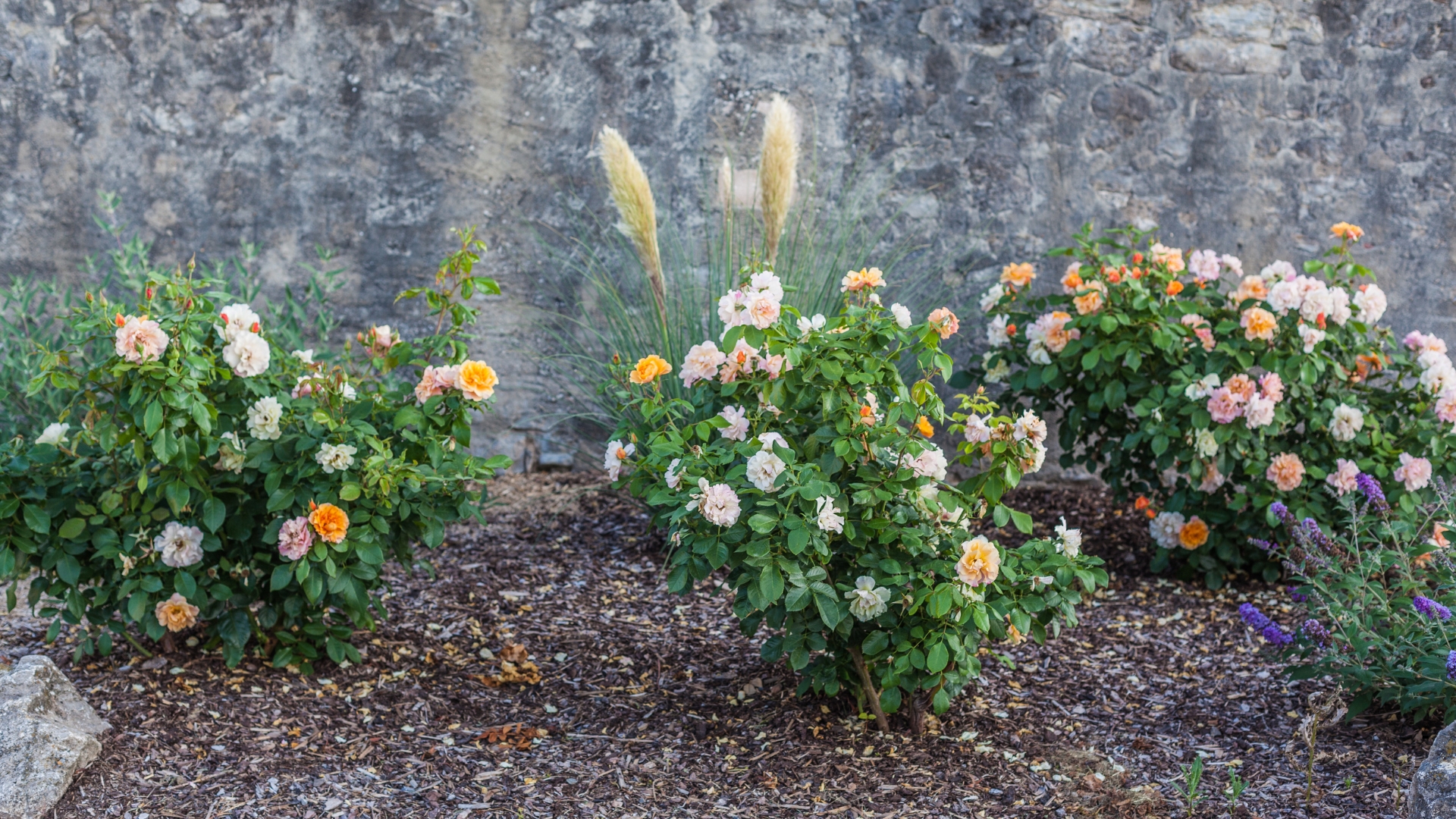 The Rule Of Three Is All You Need If You Want To Become A Pro Landscaper