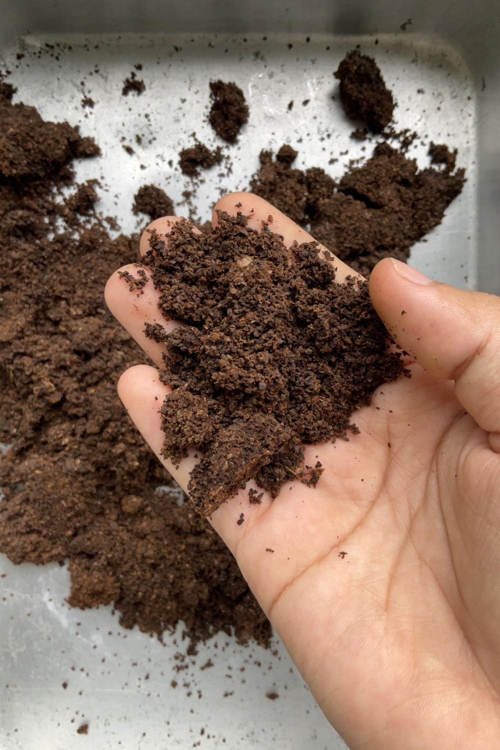 coffee grounds