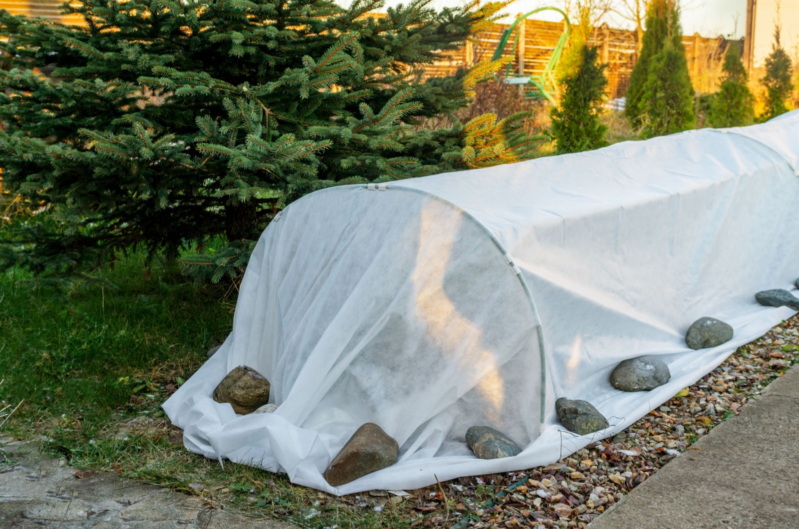 covered plants in garden