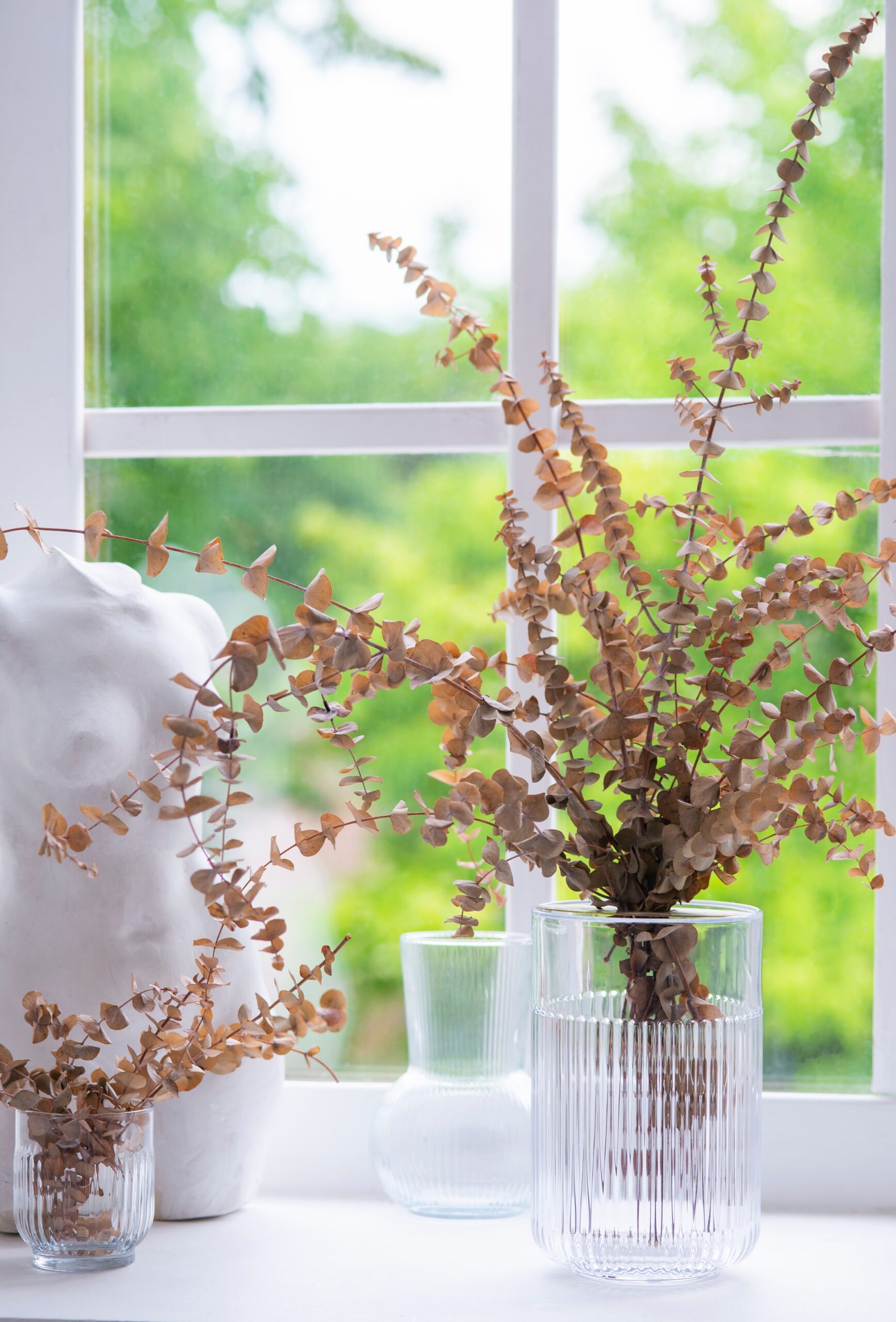 eucalyptus branches in a glass vase