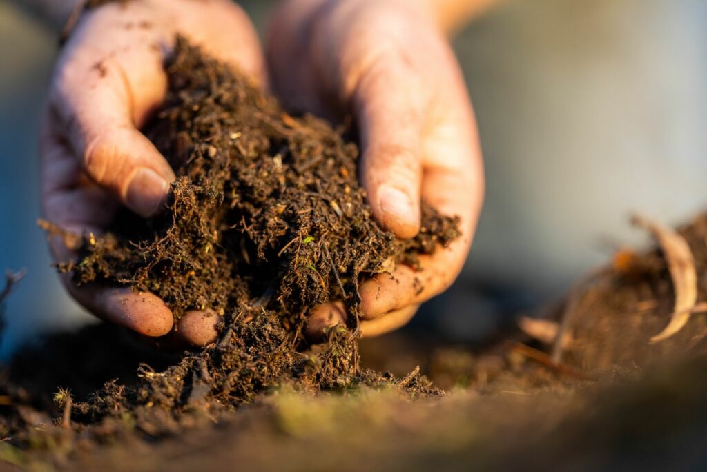 farmer collecting soil samples in a test tube in a field