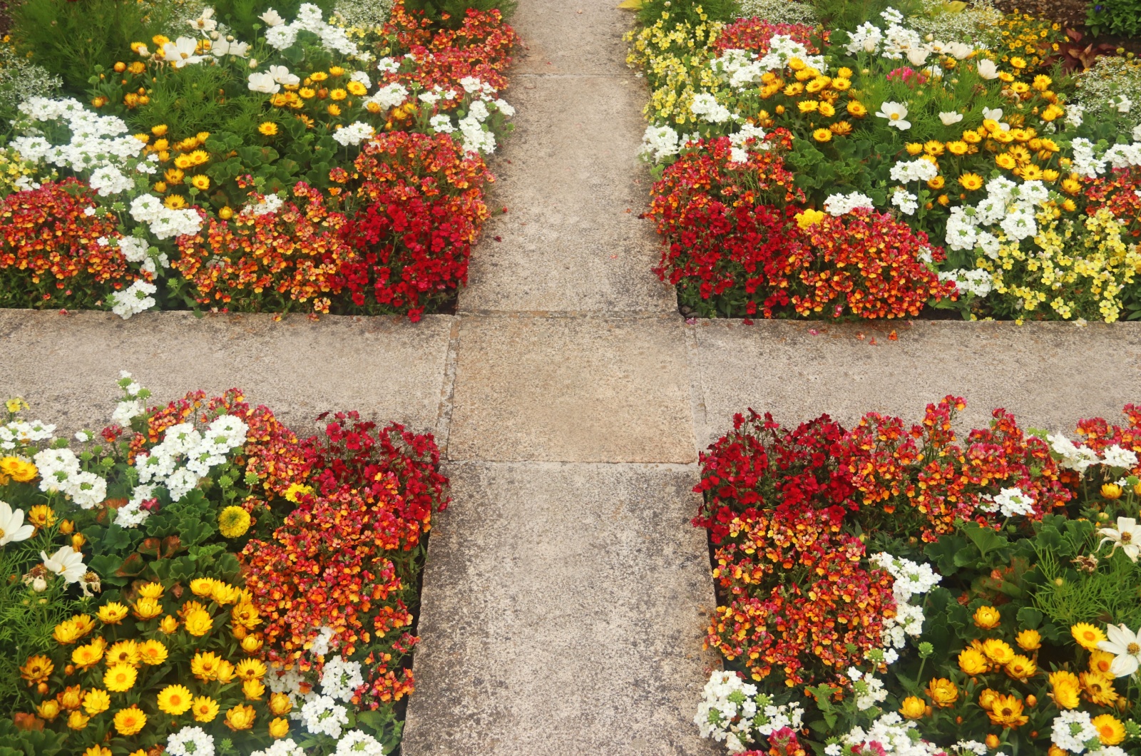 multi colored symmetric flower beds divided by footpaths