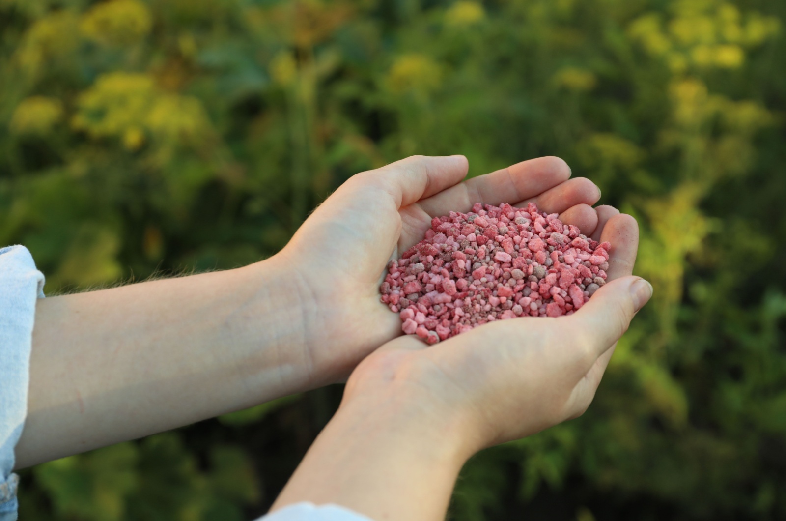 pink plant fertilizer