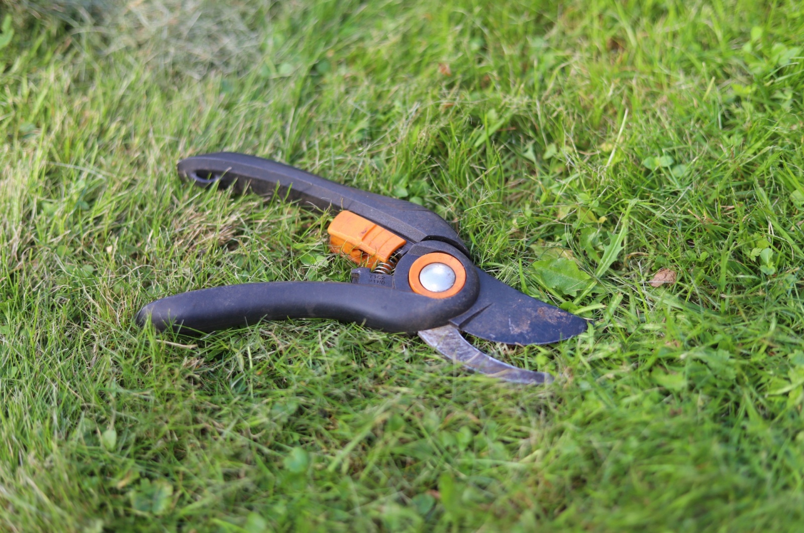 pruning shears on the grass