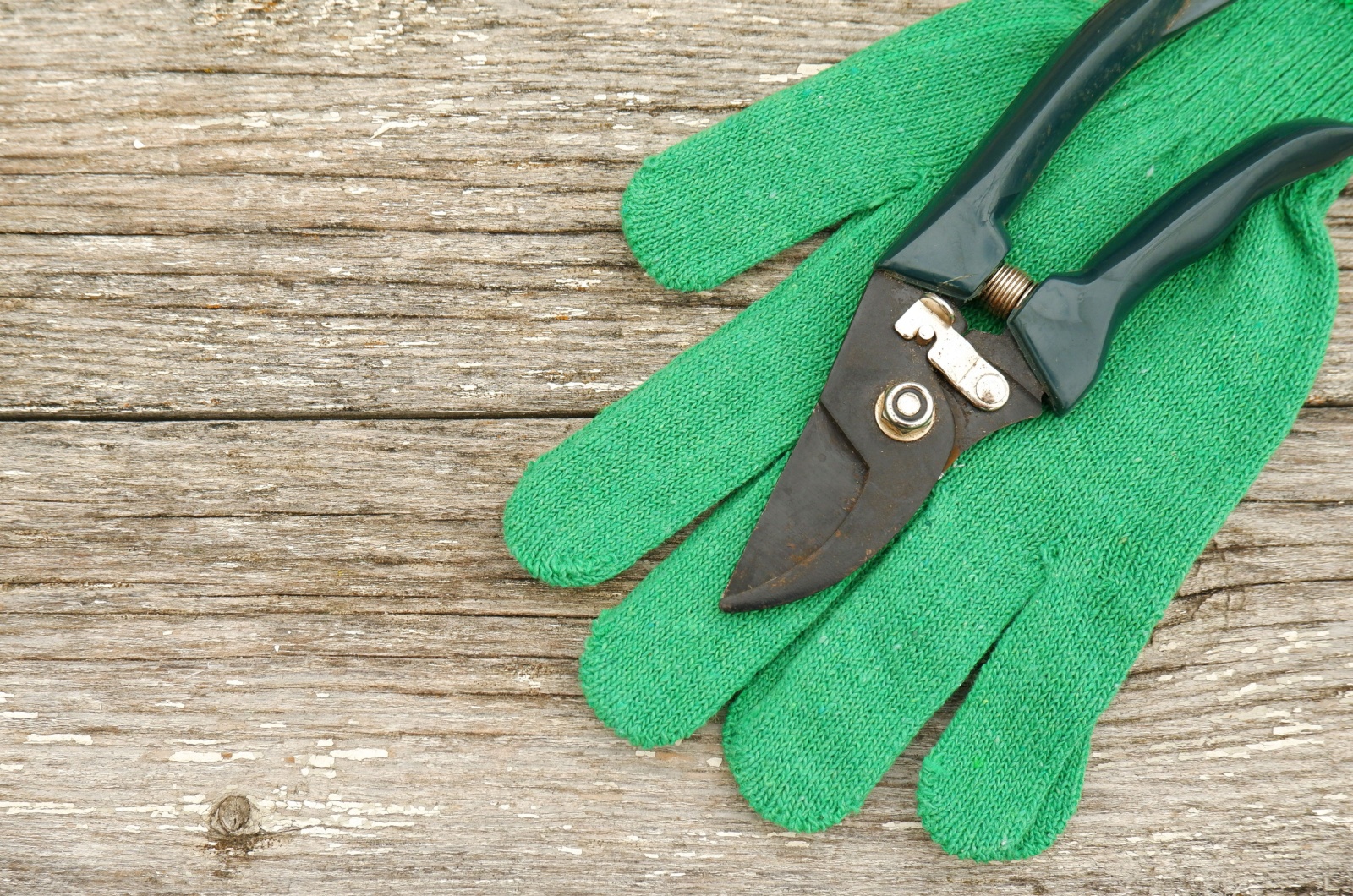 scissors and green work gloves