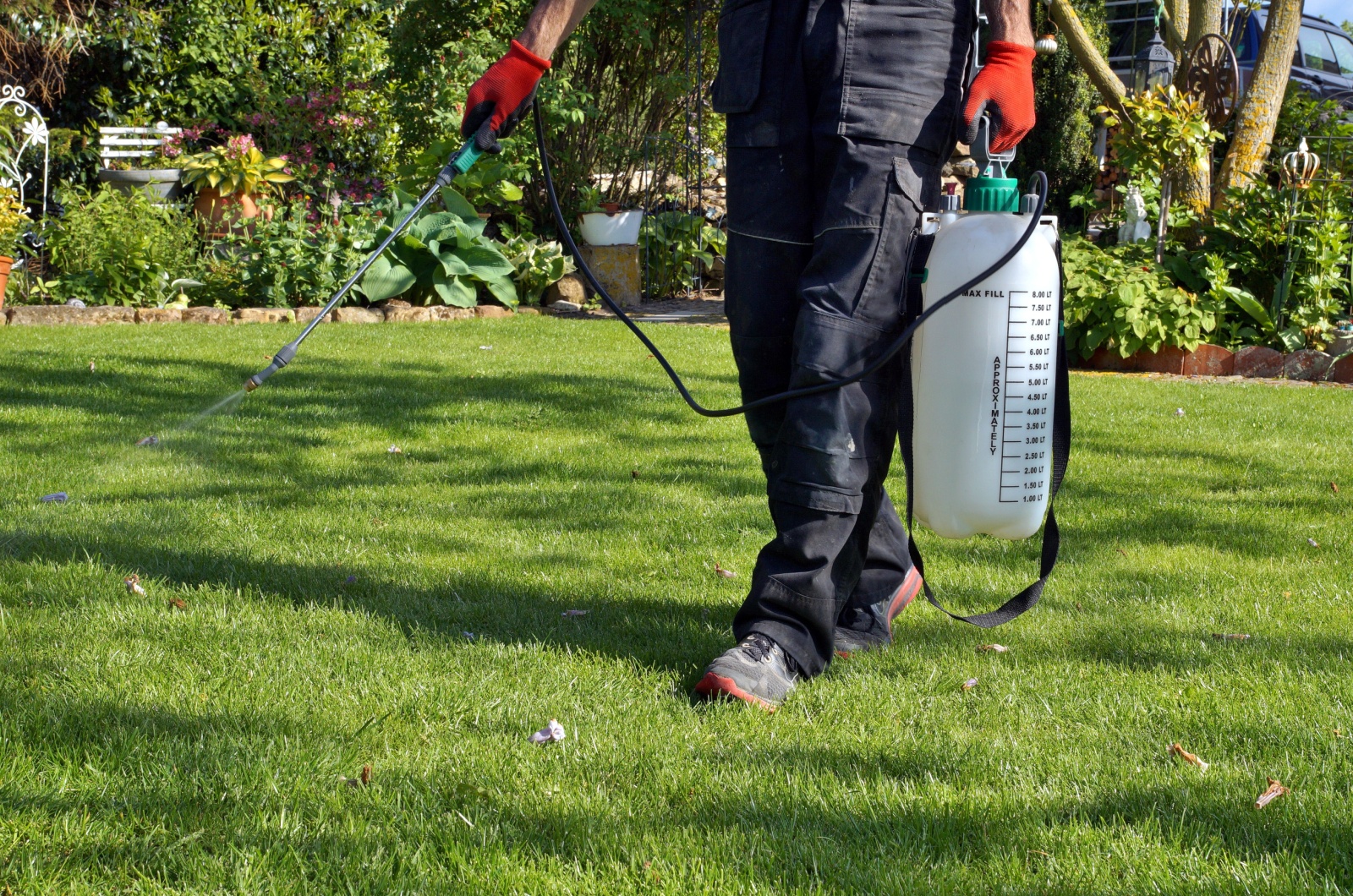 spraying chemicals on lawn