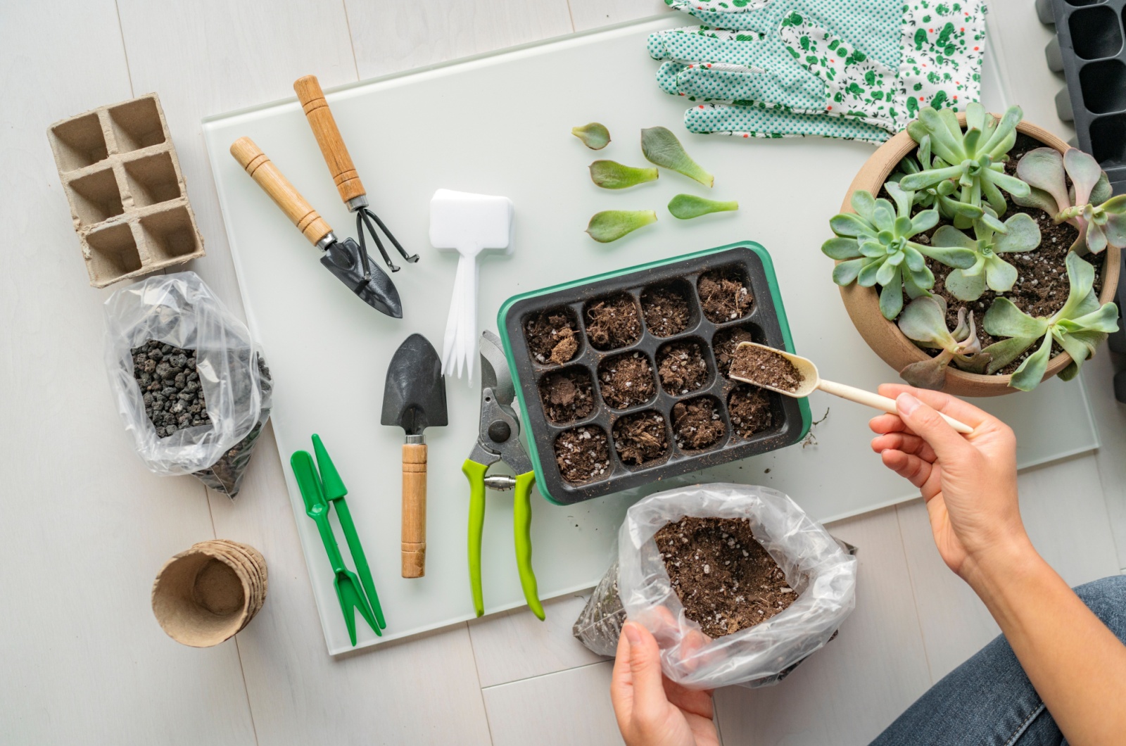 tools for home gardening