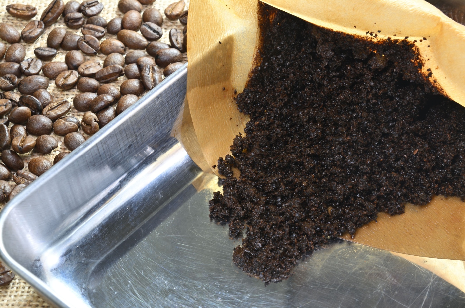 used coffee grounds on a tray