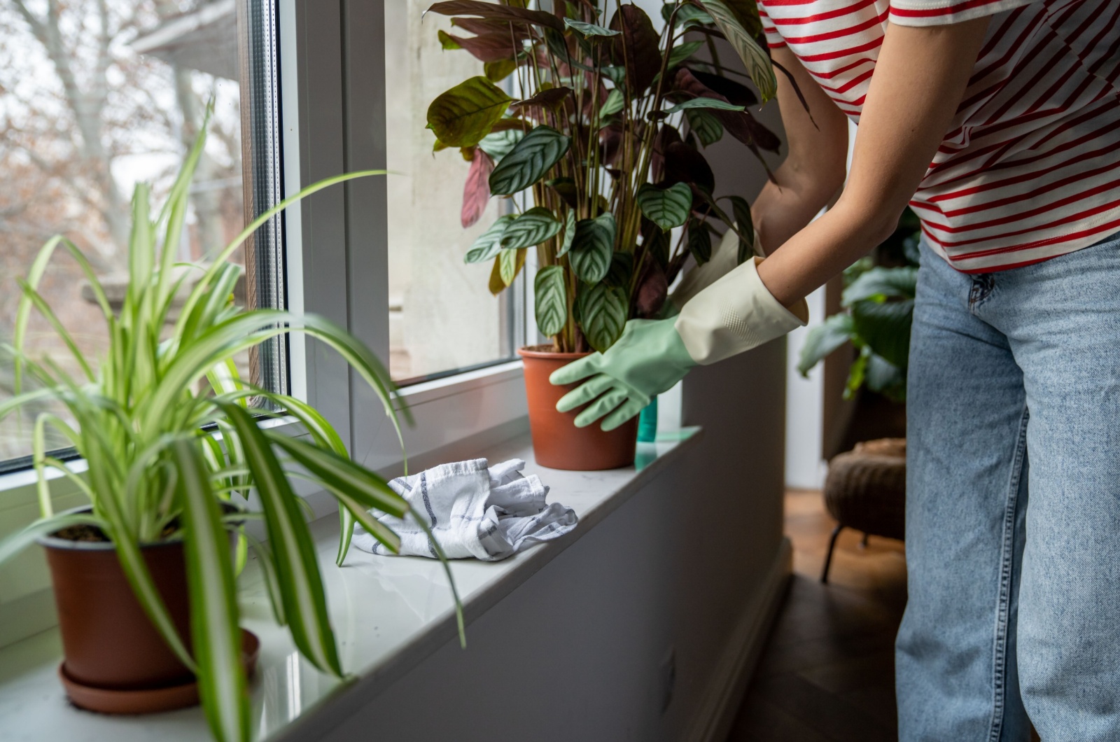 woman taking care of plants