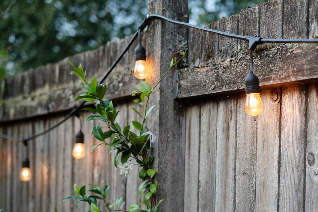 Backyard fence with string lights on a summer evening