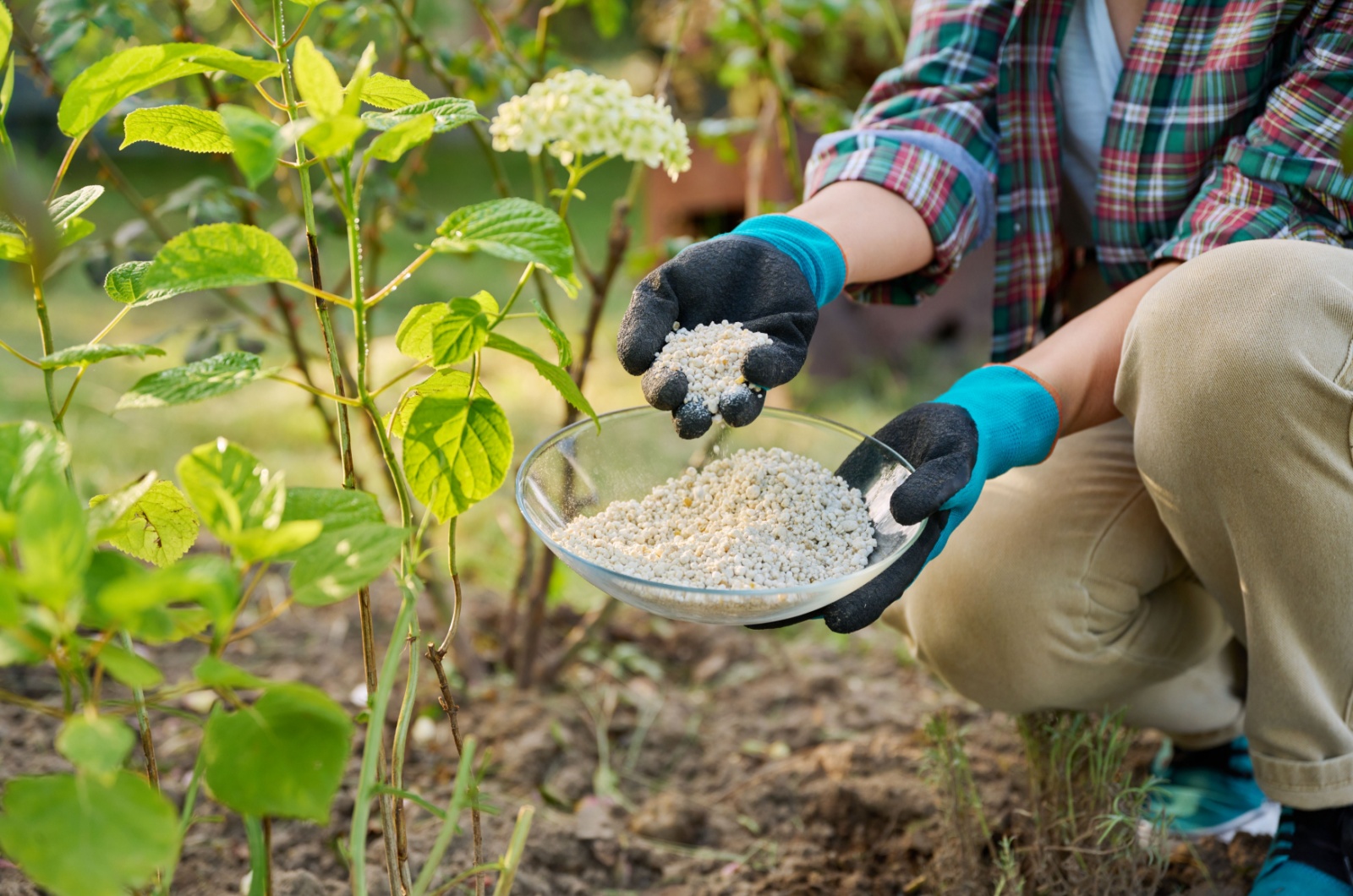 Close-up of hands with mineral fertilizers in garden