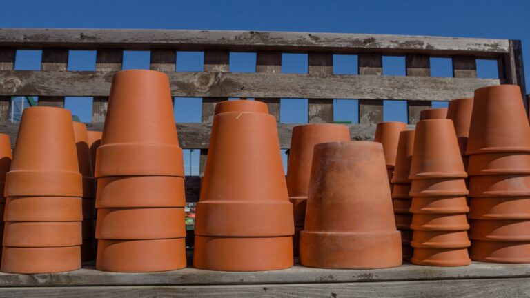 reuse an old terracotta plant saucer