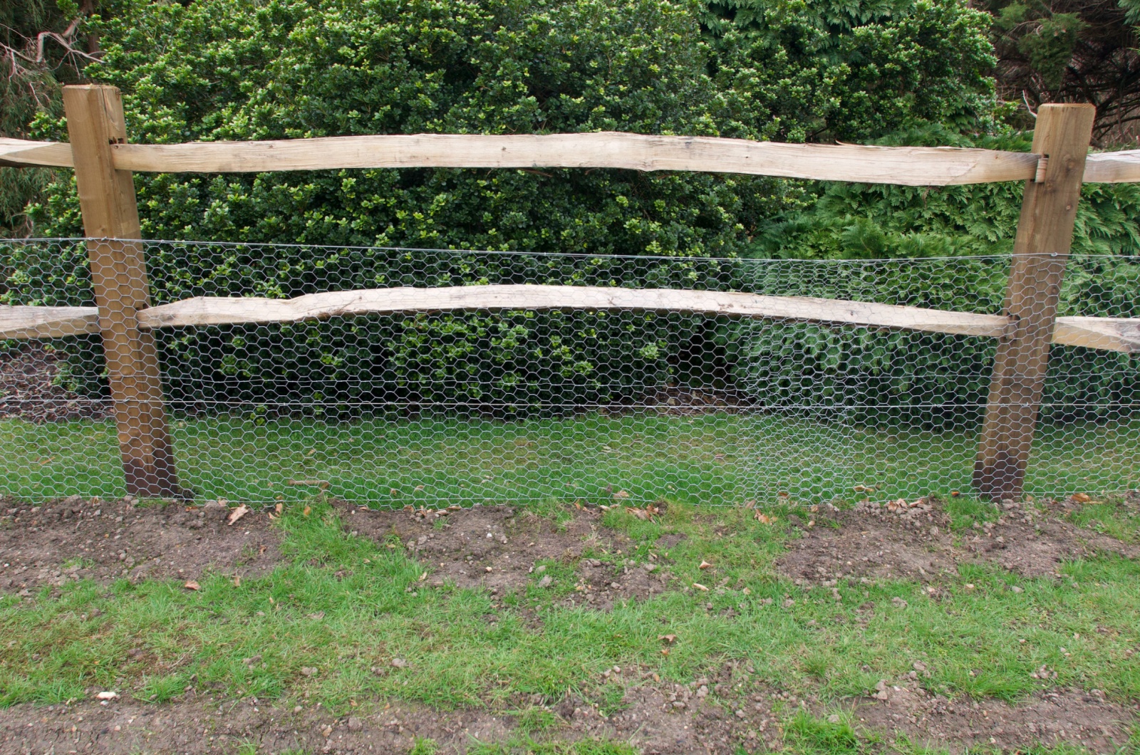 Rustic wooden fence with chicken wire