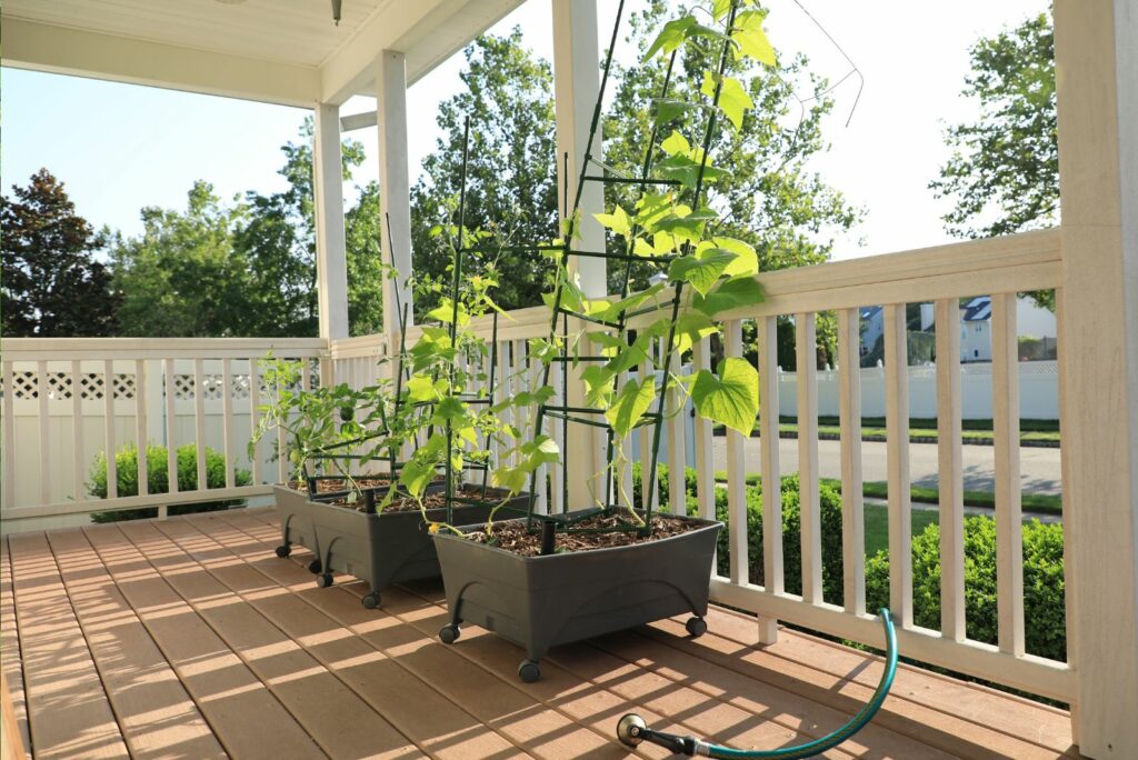 Three gray patio growing veggie boxes on a front porch