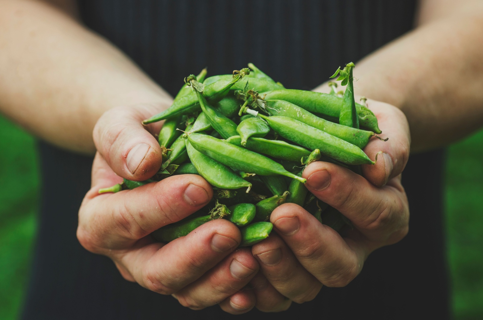 Woman holding peas in hands