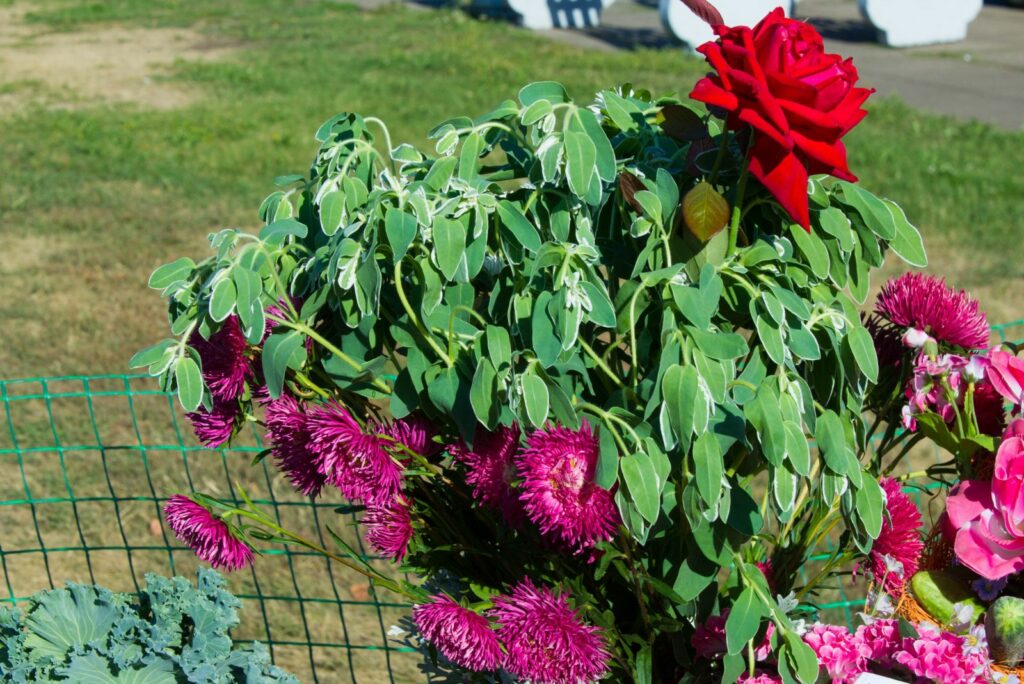 an attractively arranged bunch of flowers