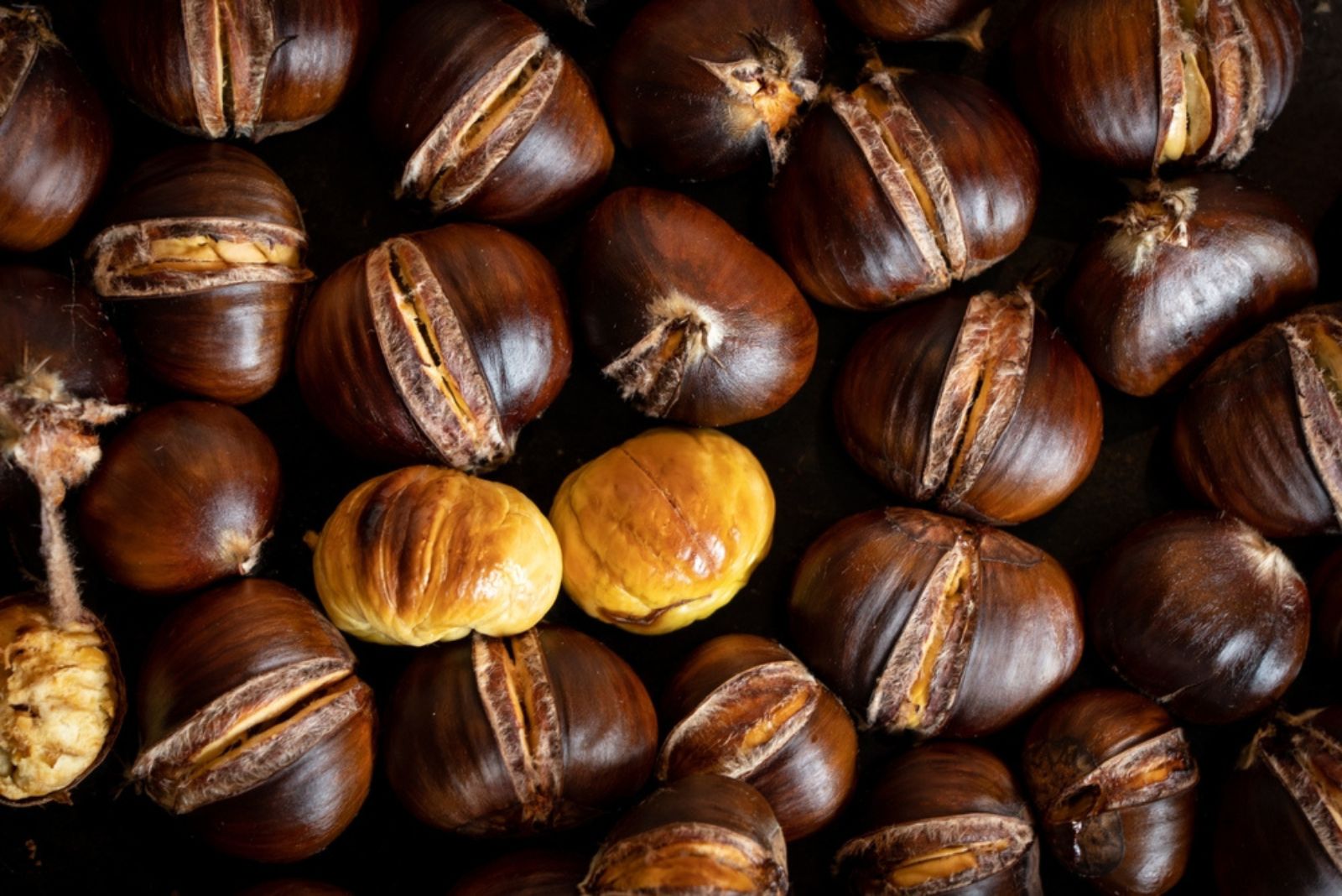 chestnuts