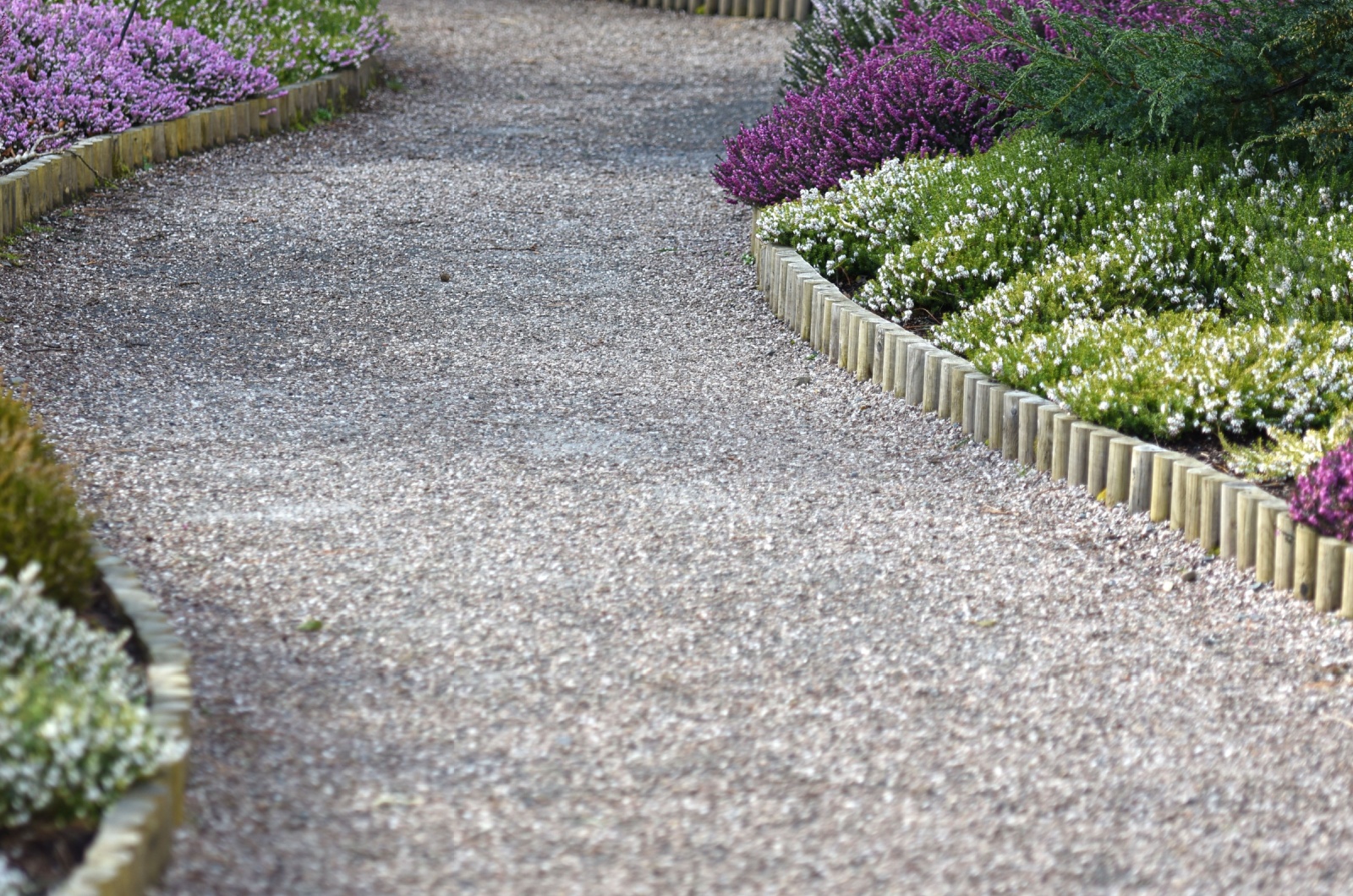 path in garden