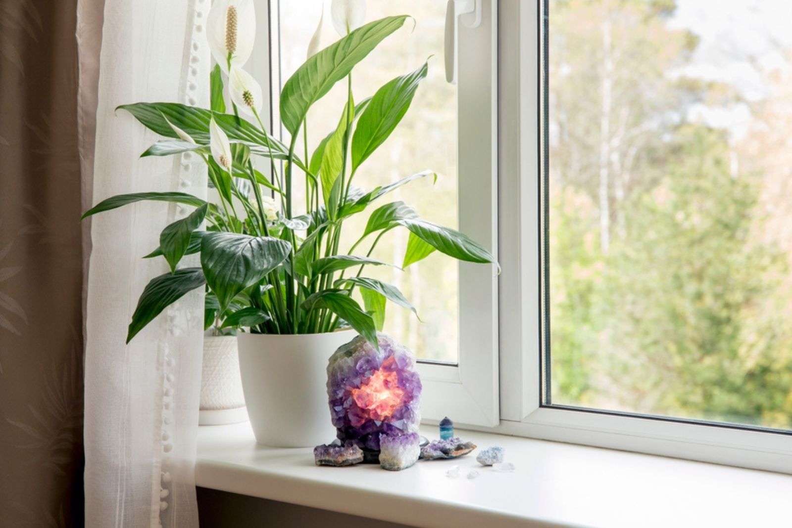 peace lilly plant with geod lamp on a window sill