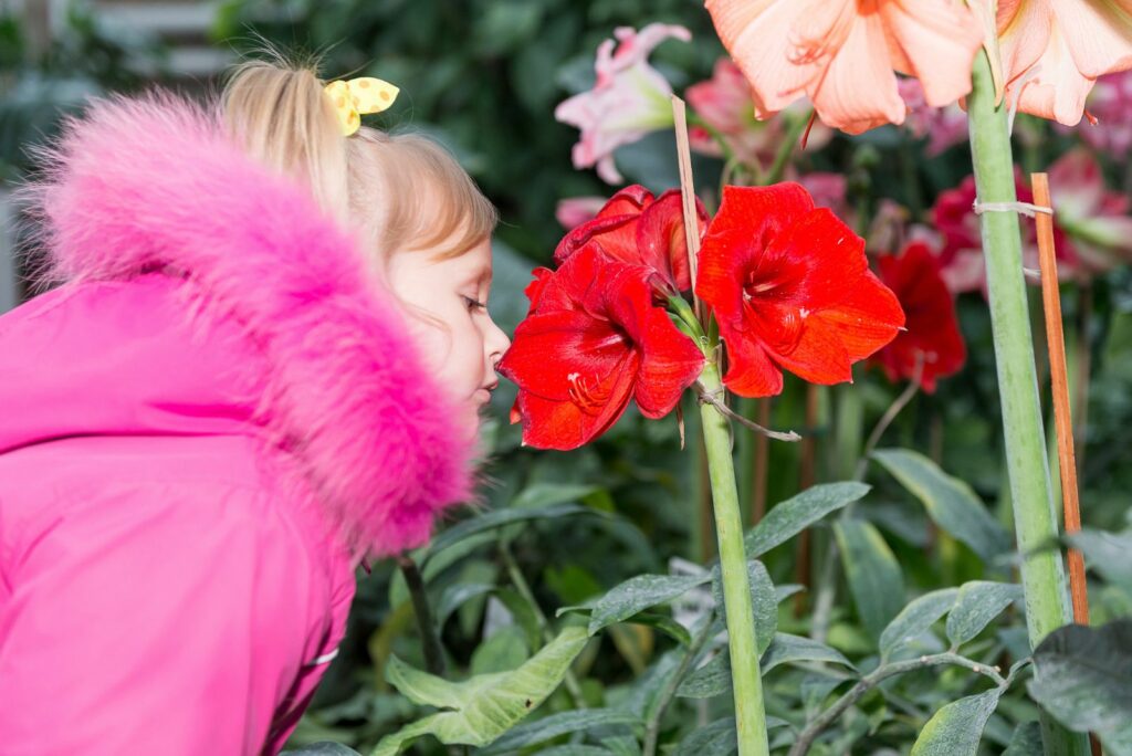 the girl smells of Amaryllis