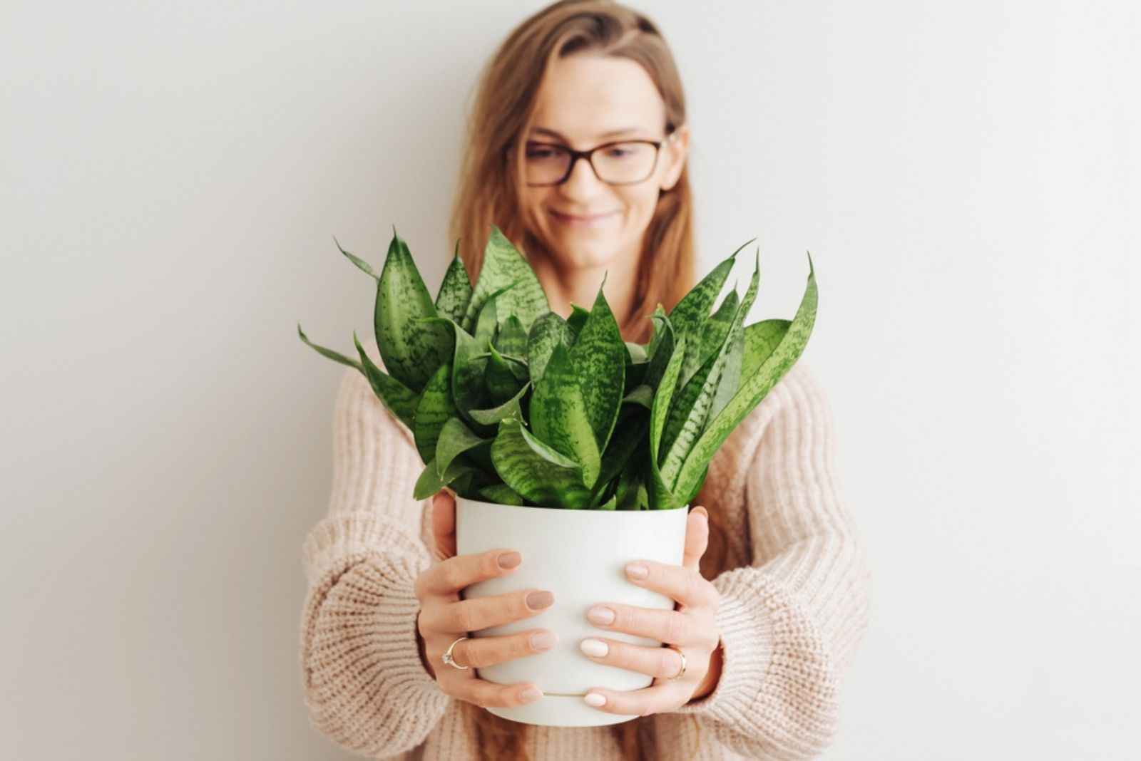 woman looking at snake plant in her hands