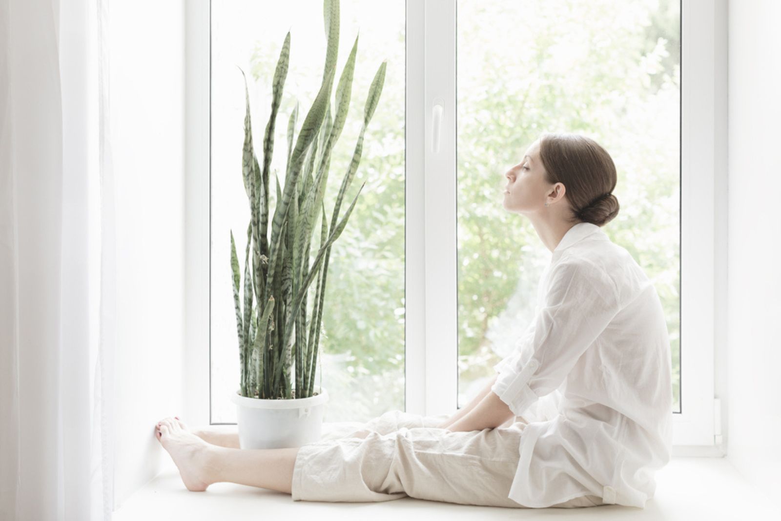 woman meditates by the snake plant