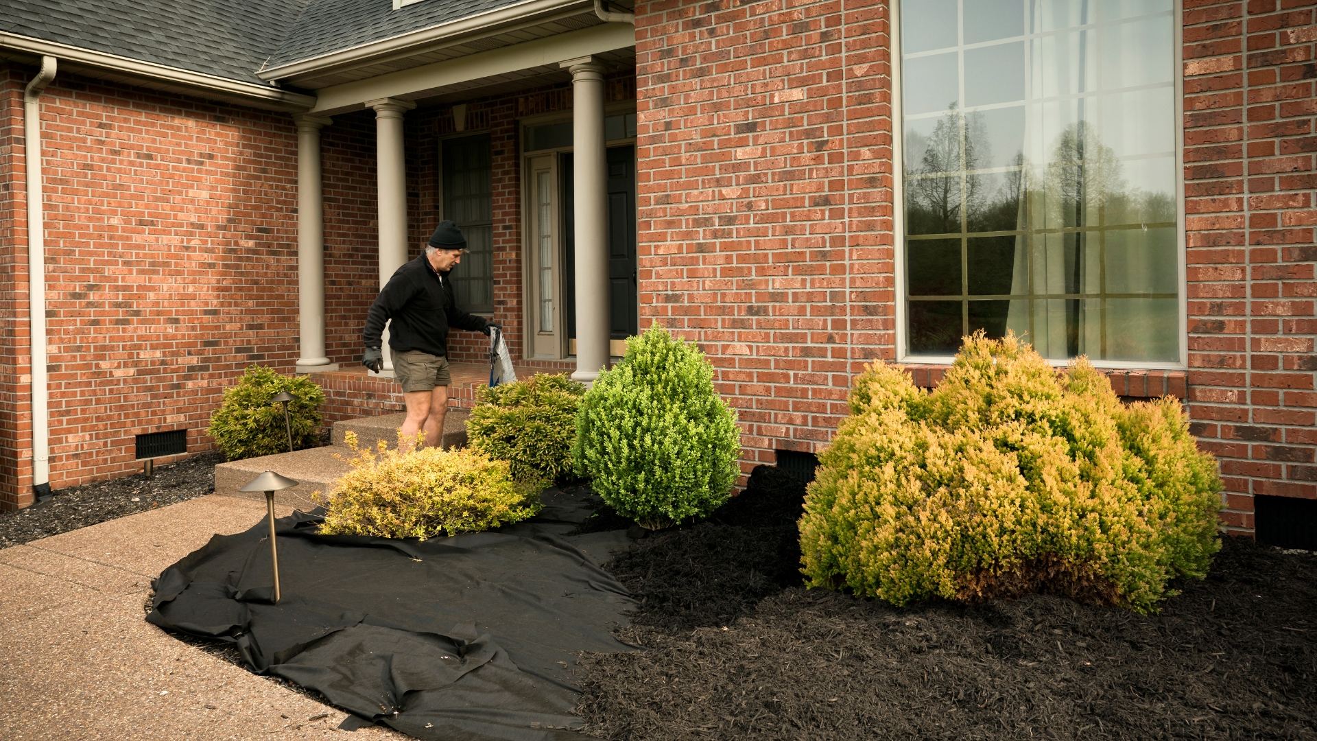 man protecting plants from frost and cold