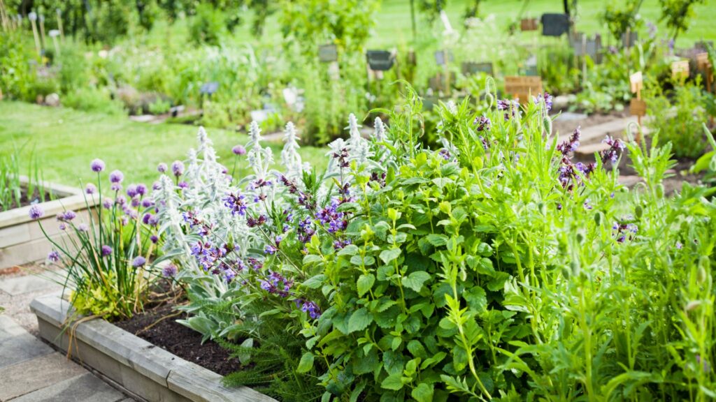 10 Effortless Herb Garden Ideas To Help Sprout Your Green Thumb