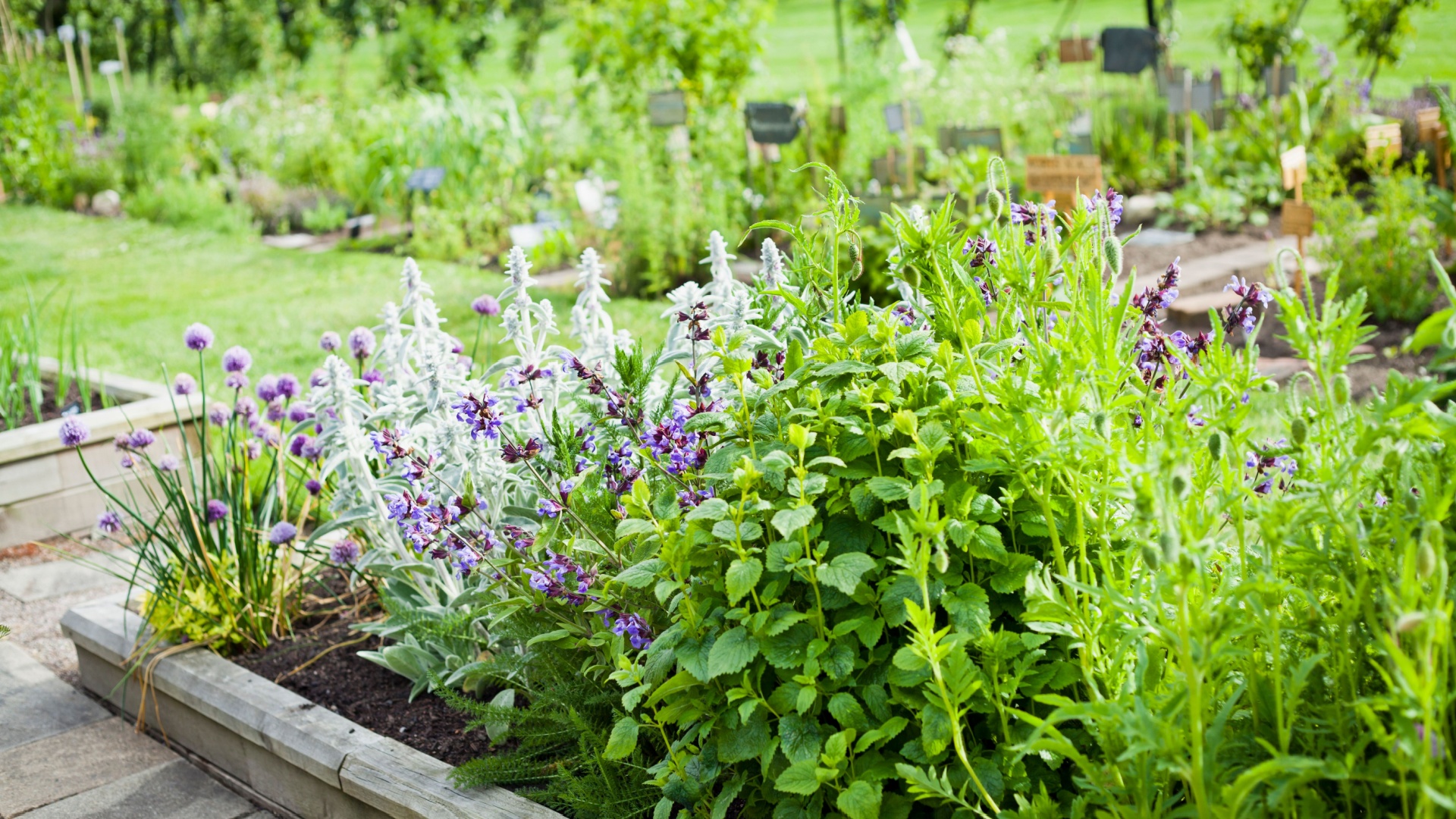 Herb Garden