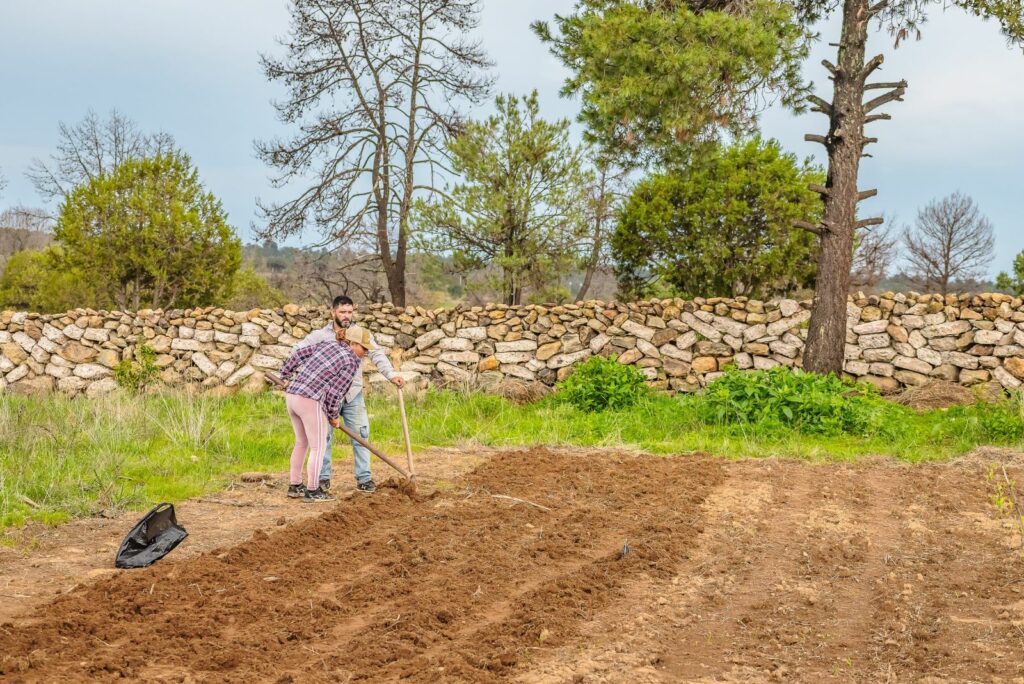 A man and woman are preparing the land for corn.