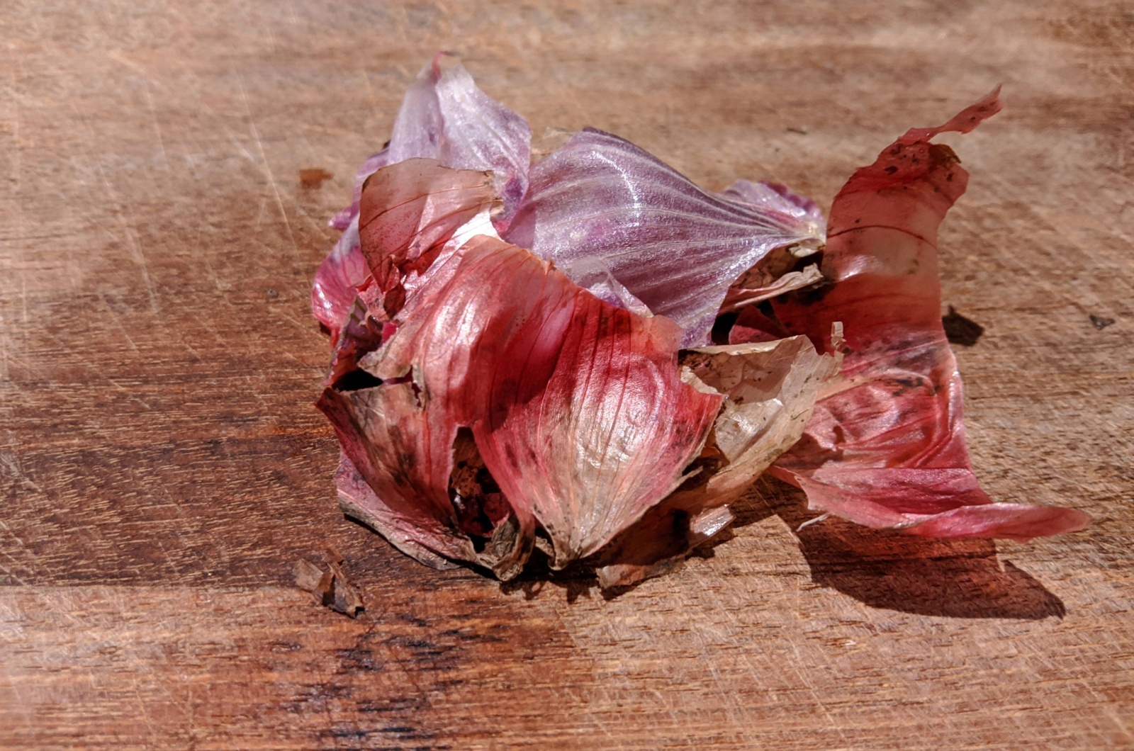 Dried red onion