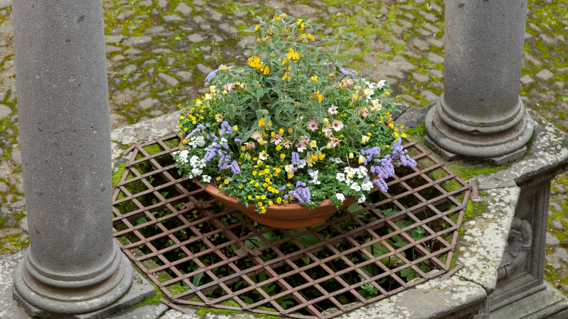 Here’s A DIY Pollinator Pot That’ll Attract Hummingbirds And Butterflies To Your Garden