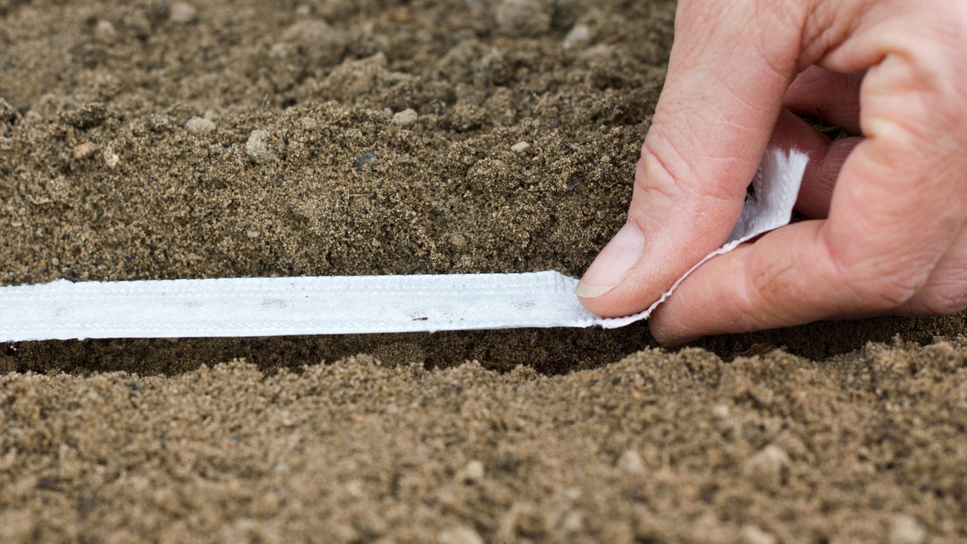 How To Make DIY Seed Tape For A Mess-Free, Effortless Garden