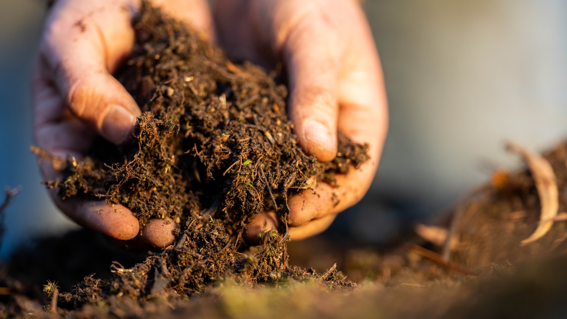 soil in hands