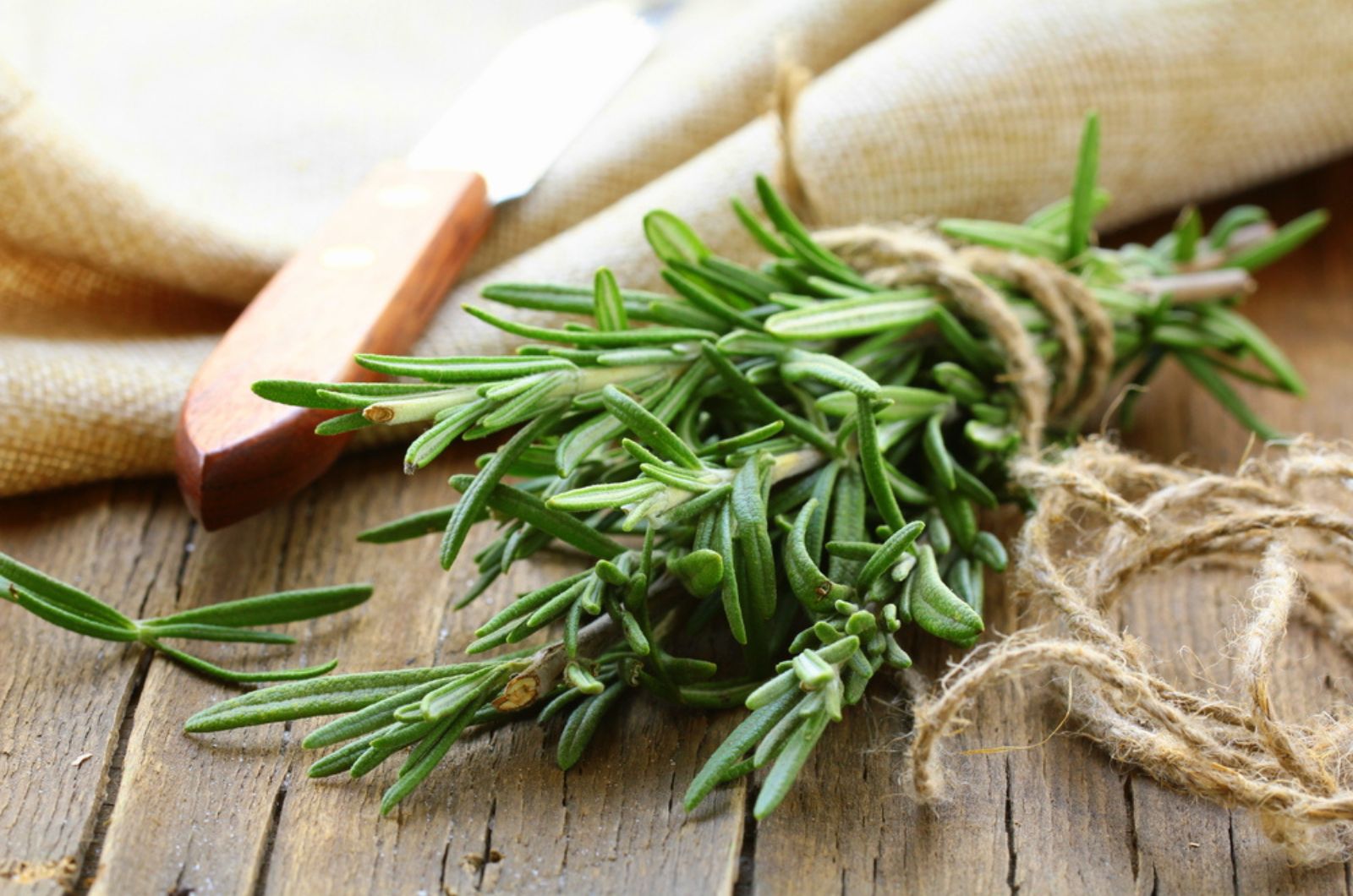 rosemary on the wooden desk