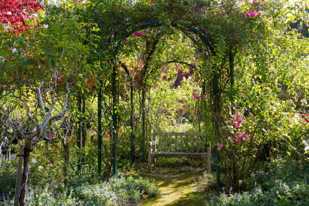 Rustic Arbor