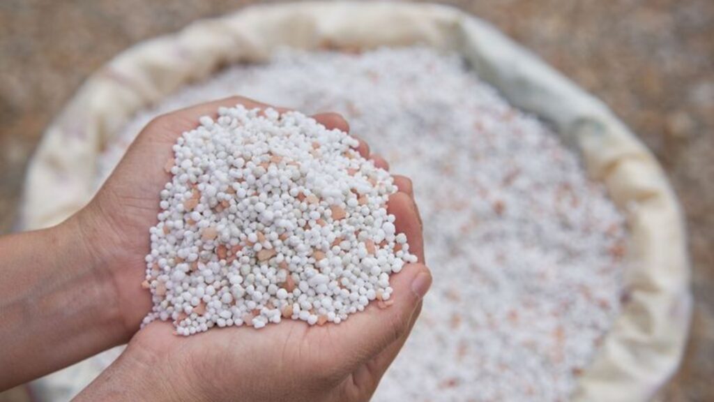 Lime Stuff The Amazing Things Lime Can Do For Your Grass That You Need To Know