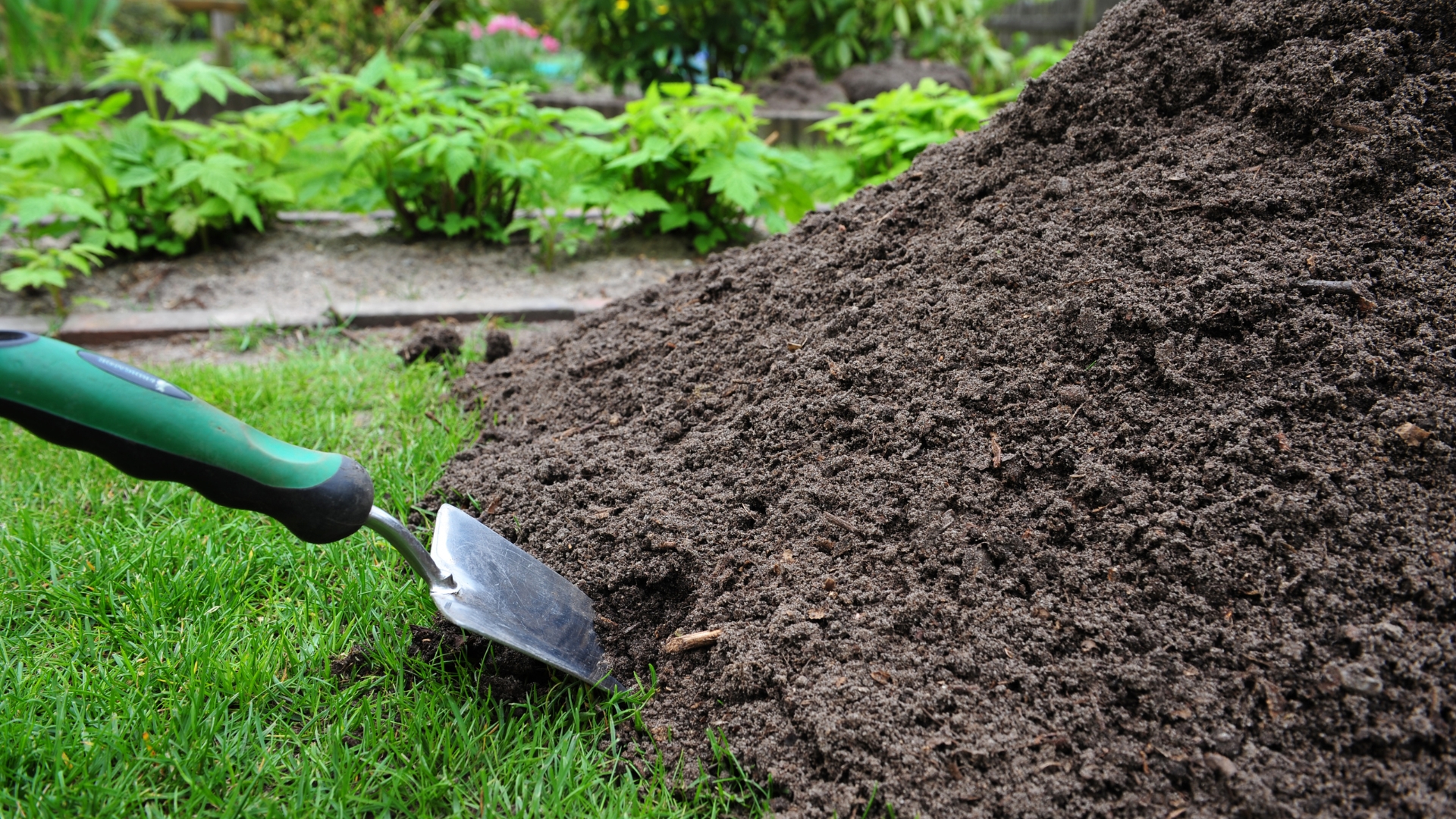 Topdress Your Lawn This Way And You’ll Get A Stunning Grass In No Time